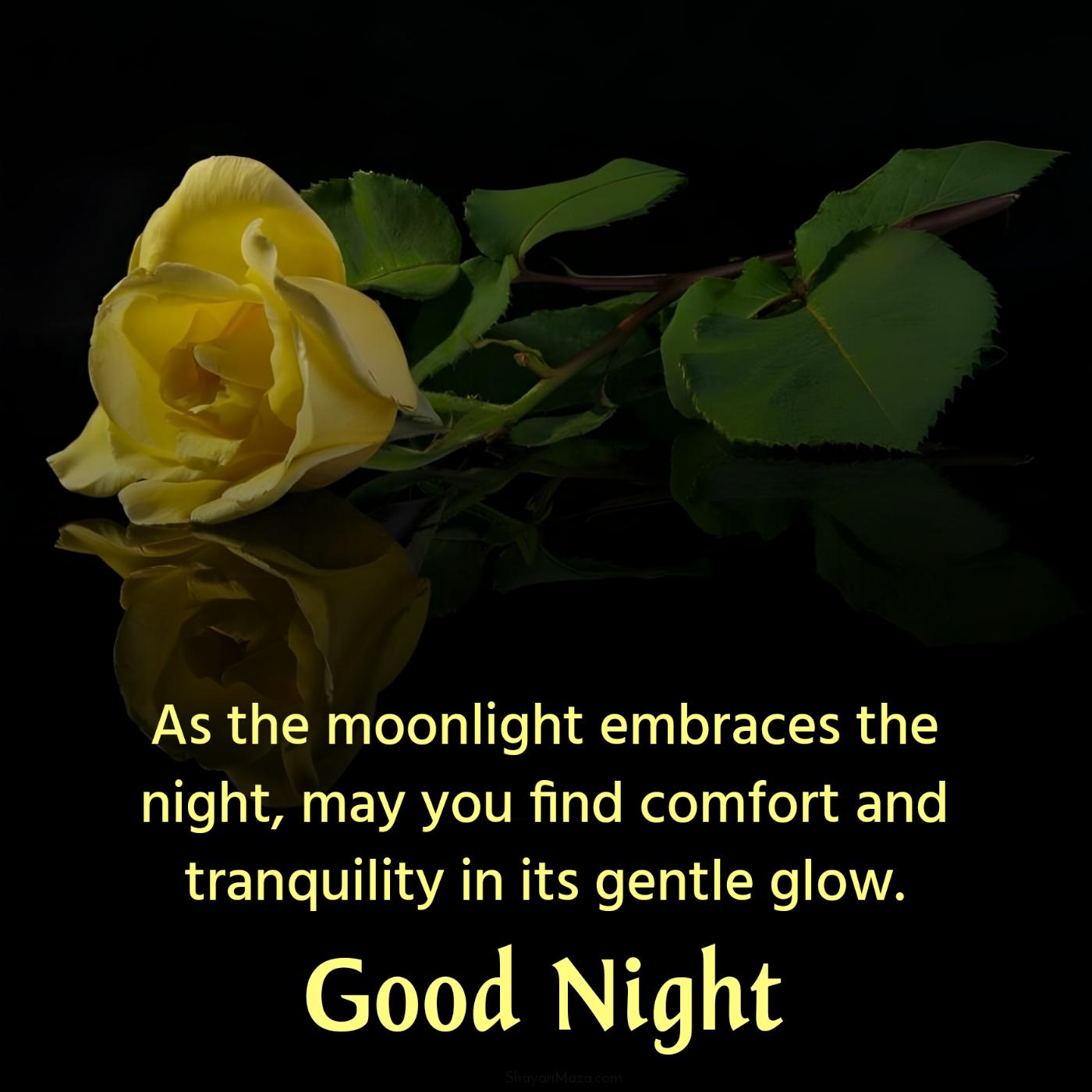 As the moonlight embraces the night may you find comfort and tranquility