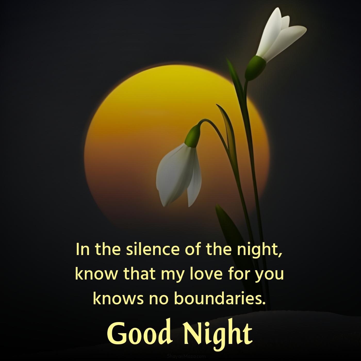 In the silence of the night know that my love for you