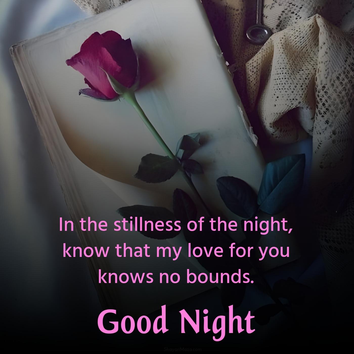 In the stillness of the night know that my love for you