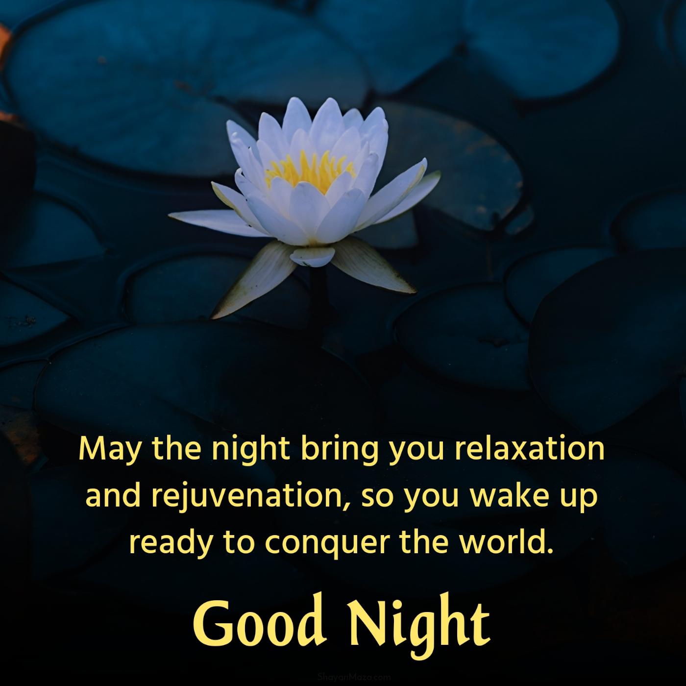 May the night bring you relaxation and rejuvenation