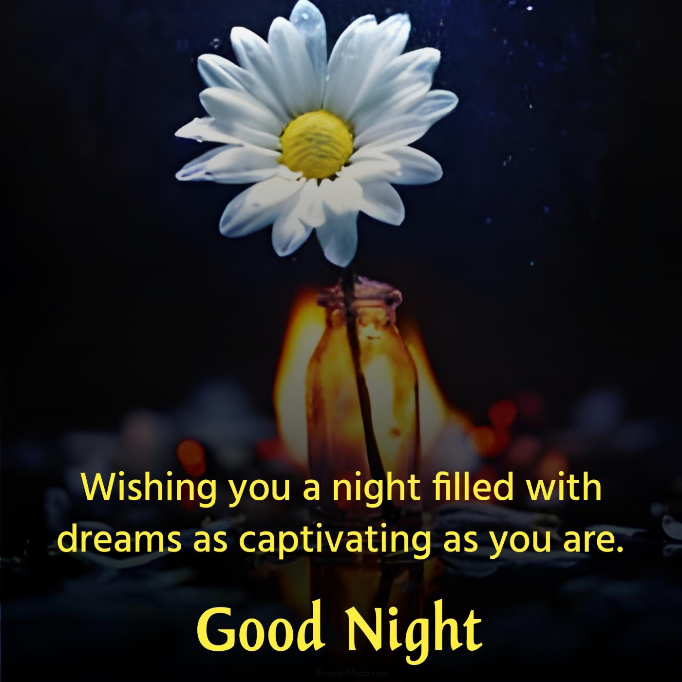 Wishing you a night filled with dreams as captivating as you are