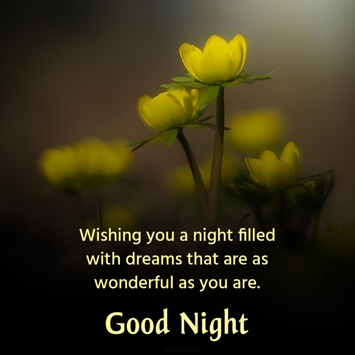 Wishing you a night filled with dreams that are as wonderful as you
