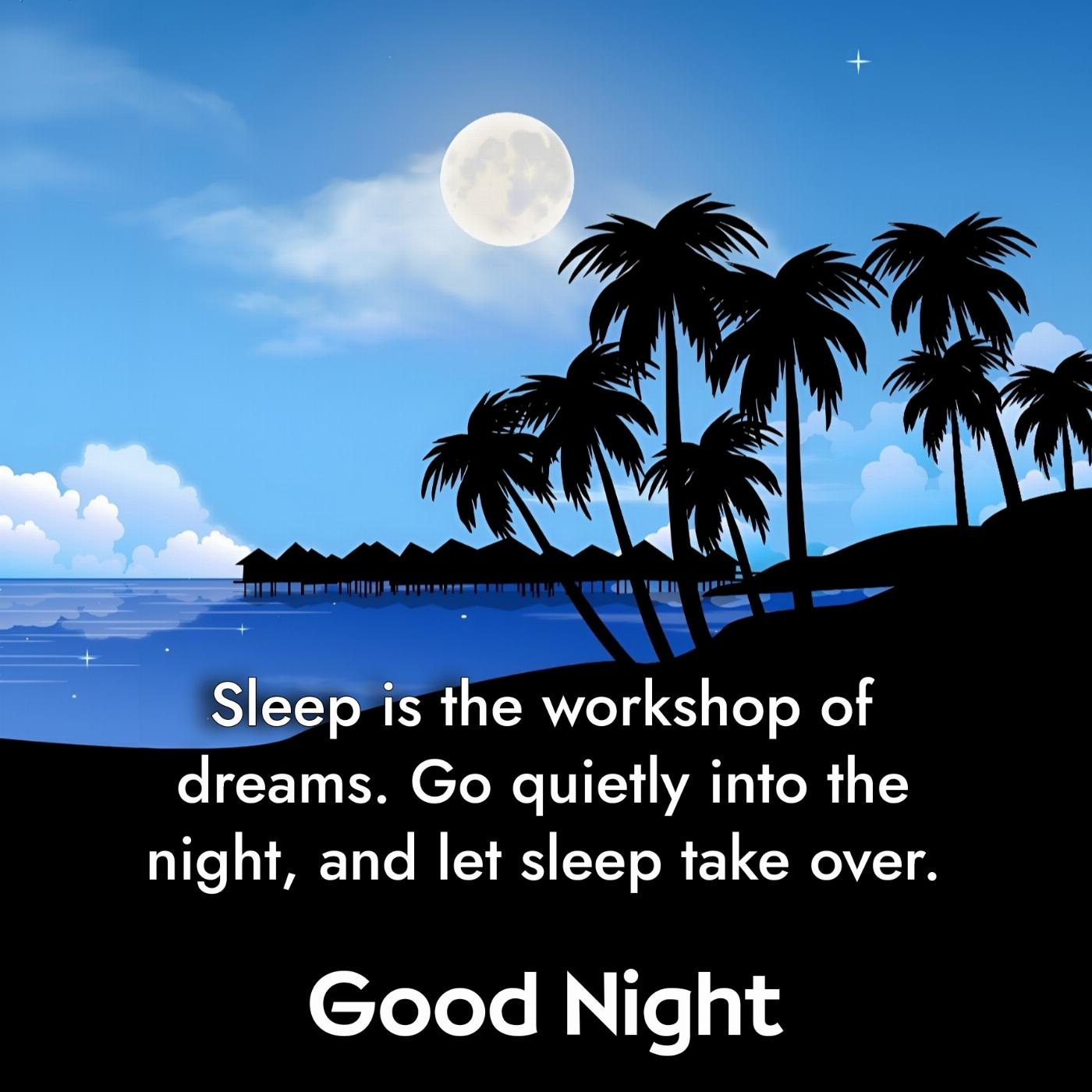 Sleep is the workshop of dreams Go quietly into the night