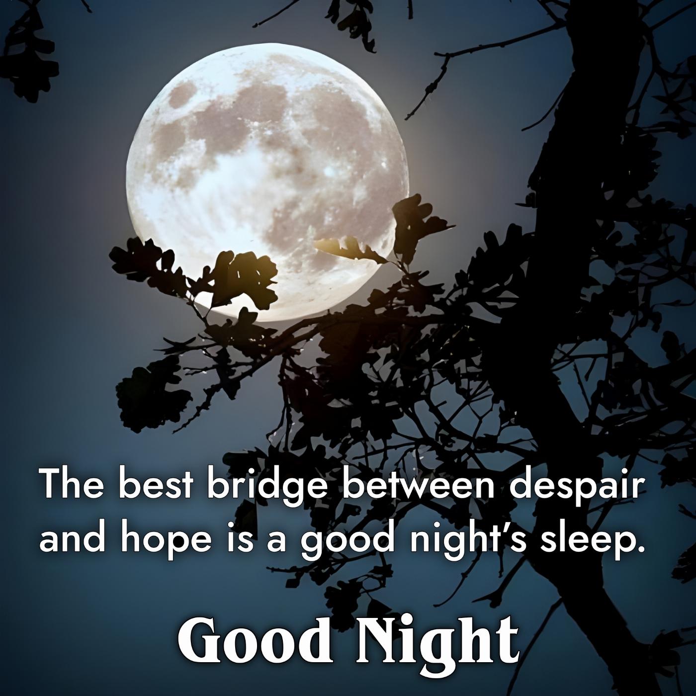 The best bridge between despair and hope