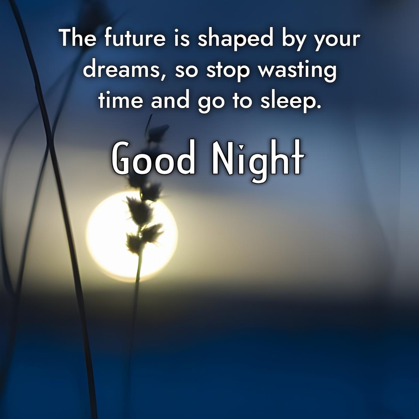 The future is shaped by your dreams so stop wasting time