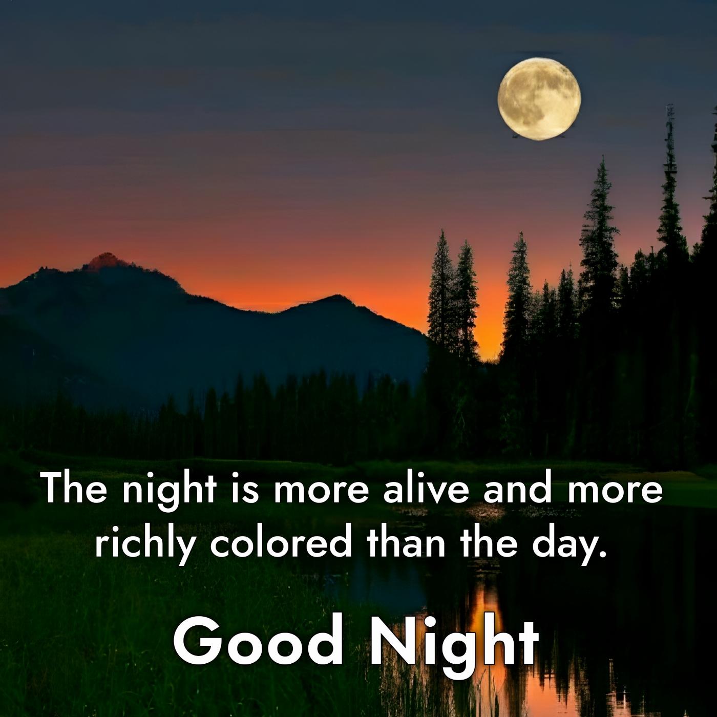 The night is more alive and more richly colored