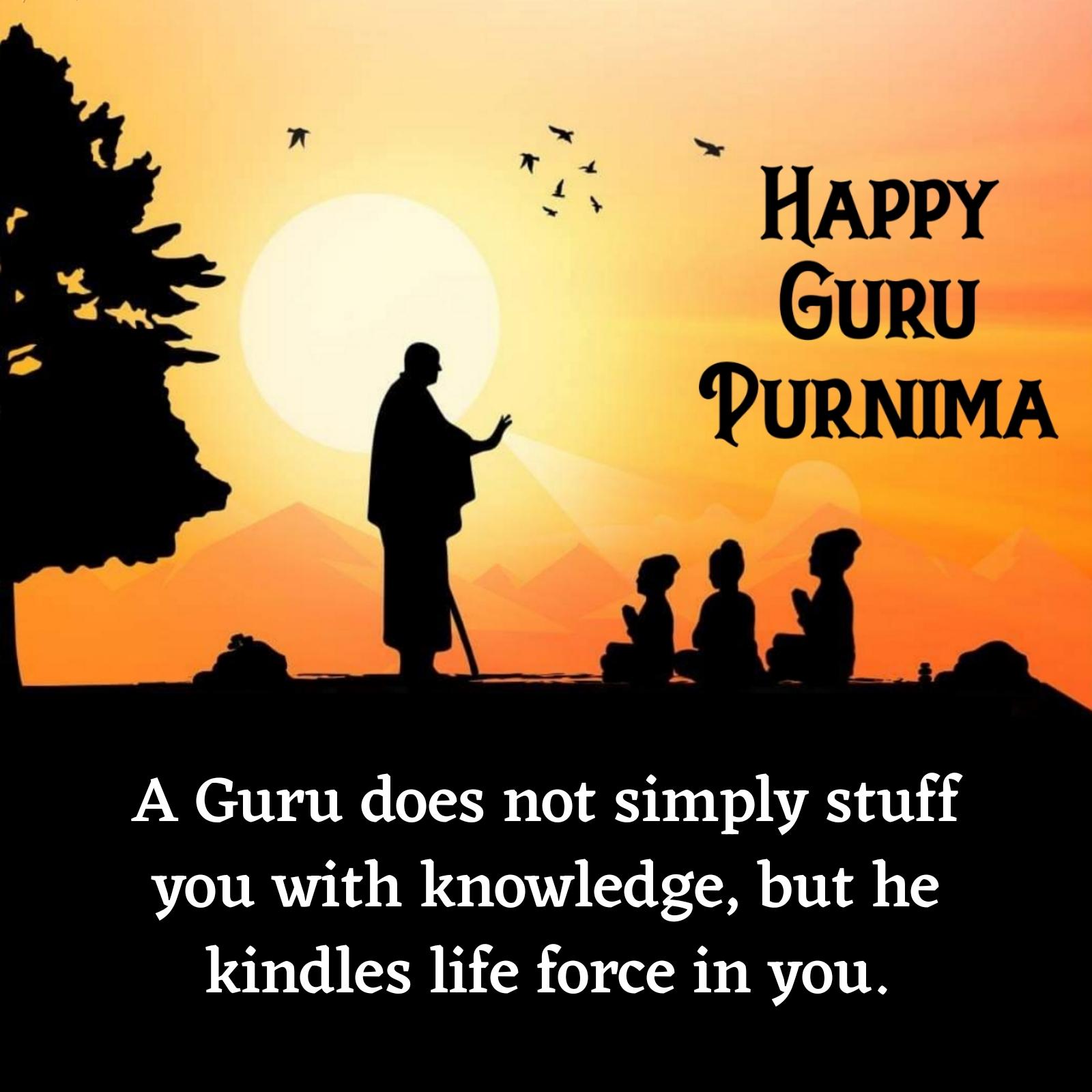 A Guru does not simply stuff you with knowledge but he kindles life force in you