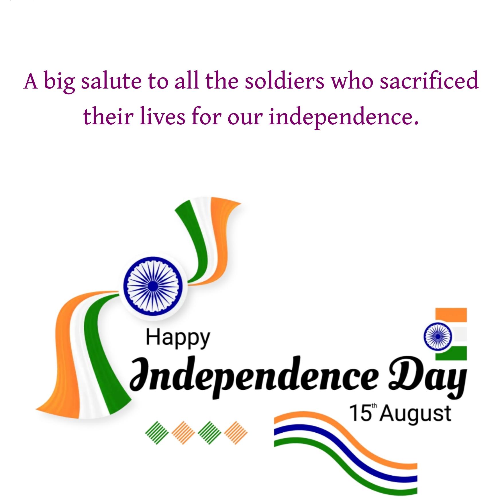 A big salute to all the soldiers who sacrificed their lives