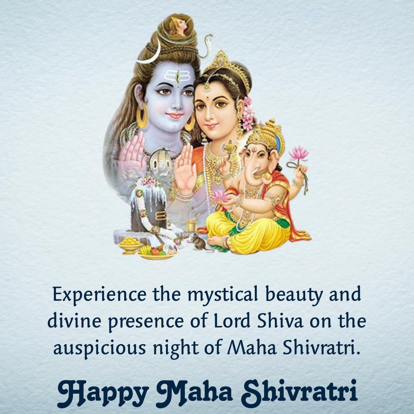 Experience the mystical beauty and divine presence of Lord Shiva