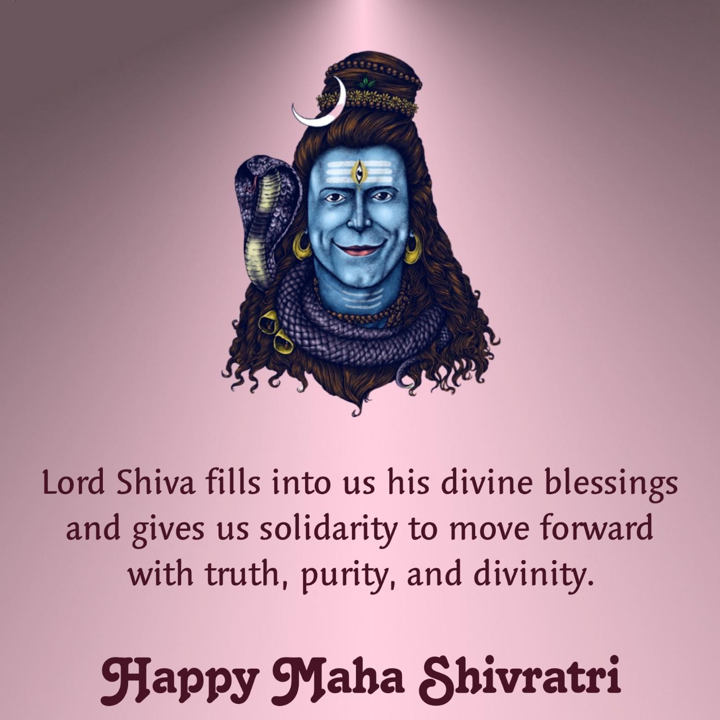 Lord Shiva fills into us his divine blessings and gives us solidarity