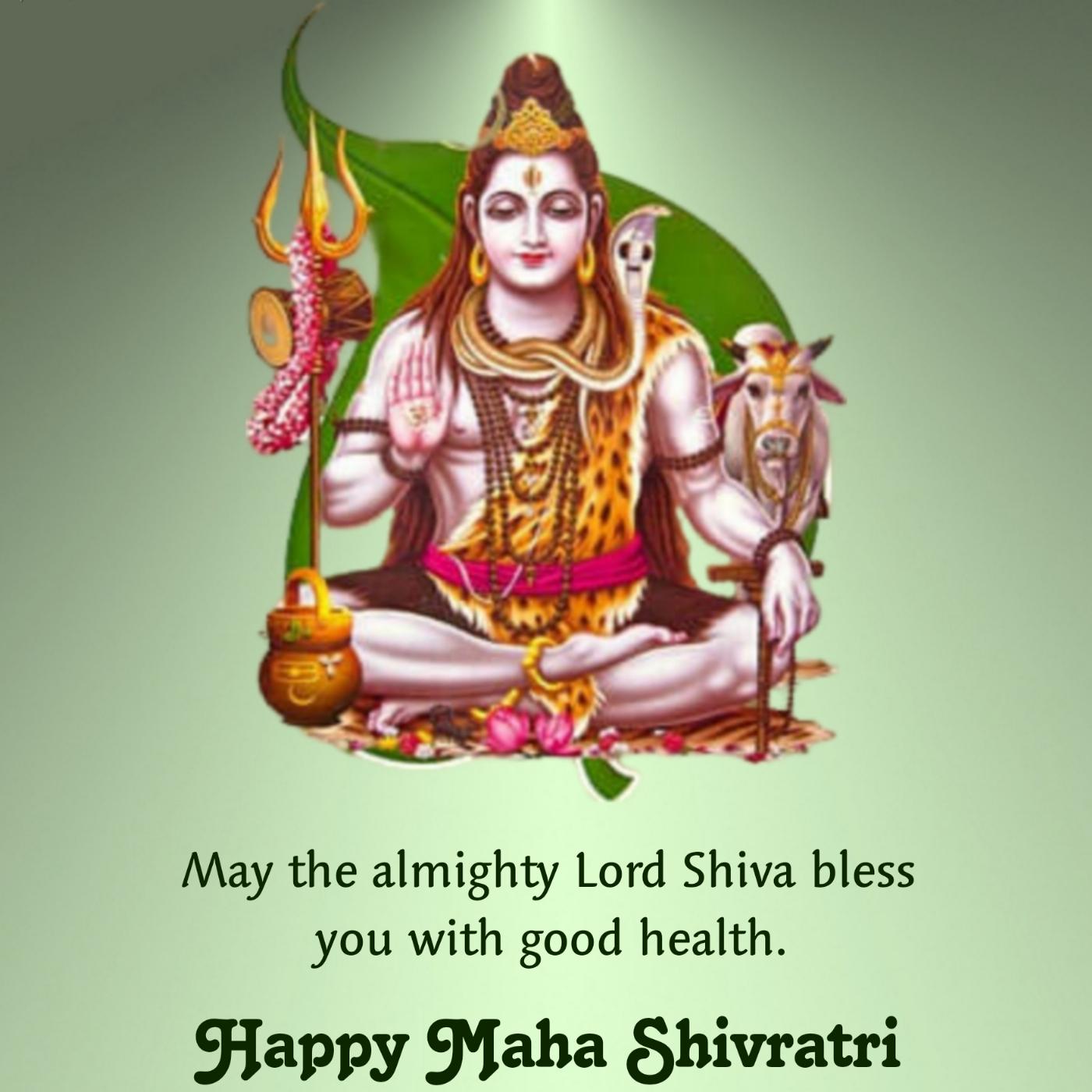 May the almighty Lord Shiva bless you with good health