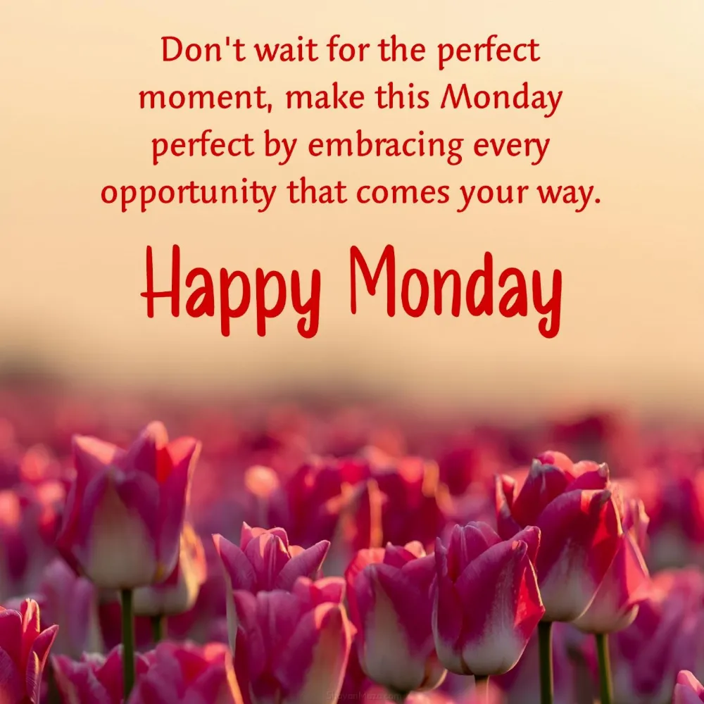 Don't wait for the perfect moment make this Monday perfect