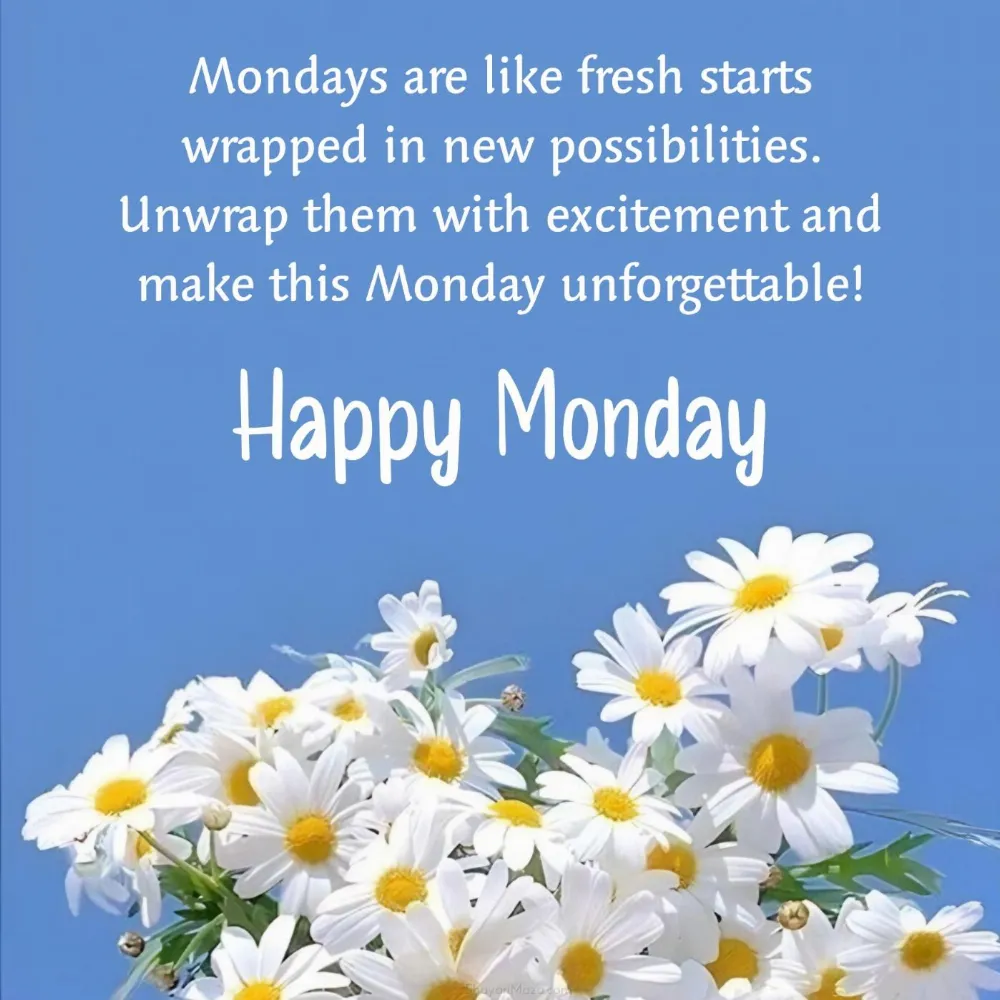 Mondays are like fresh starts wrapped in new possibilities
