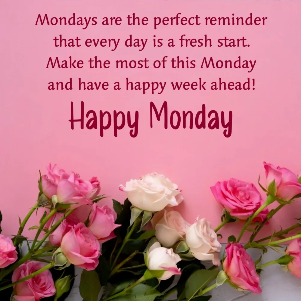 Mondays are the perfect reminder that every day is a fresh start