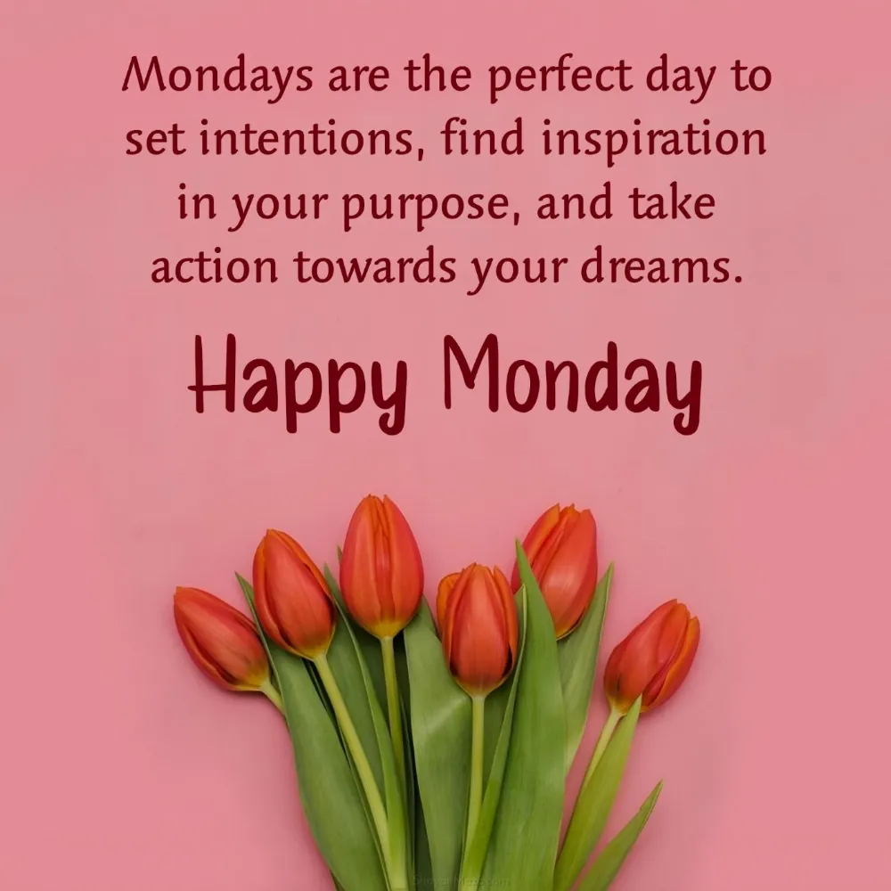Mondays are the perfect day to set intentions find inspiration