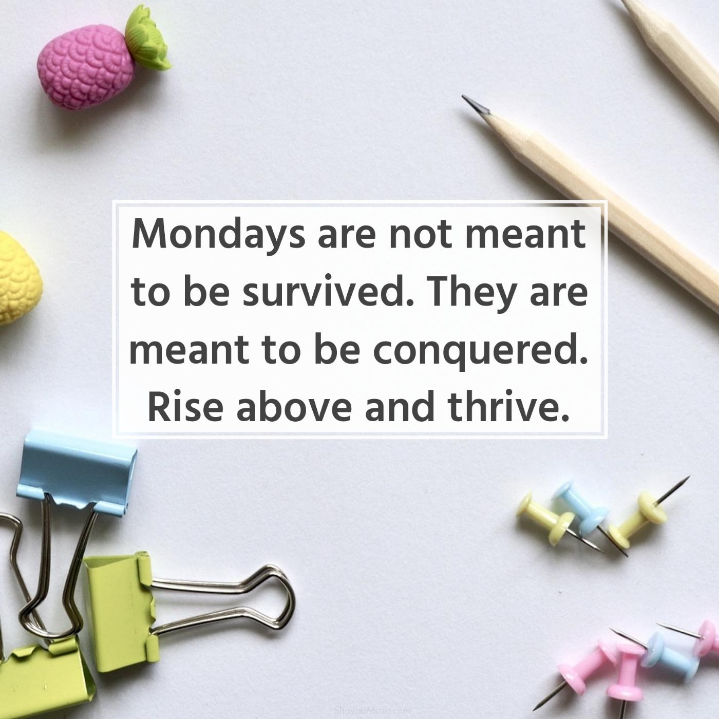 Mondays are not meant to be survived