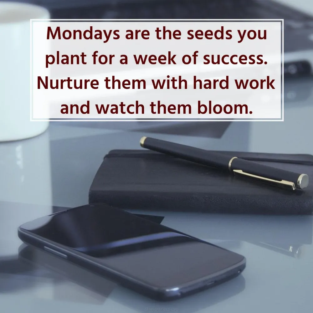 Mondays are the seeds you plant for a week of success