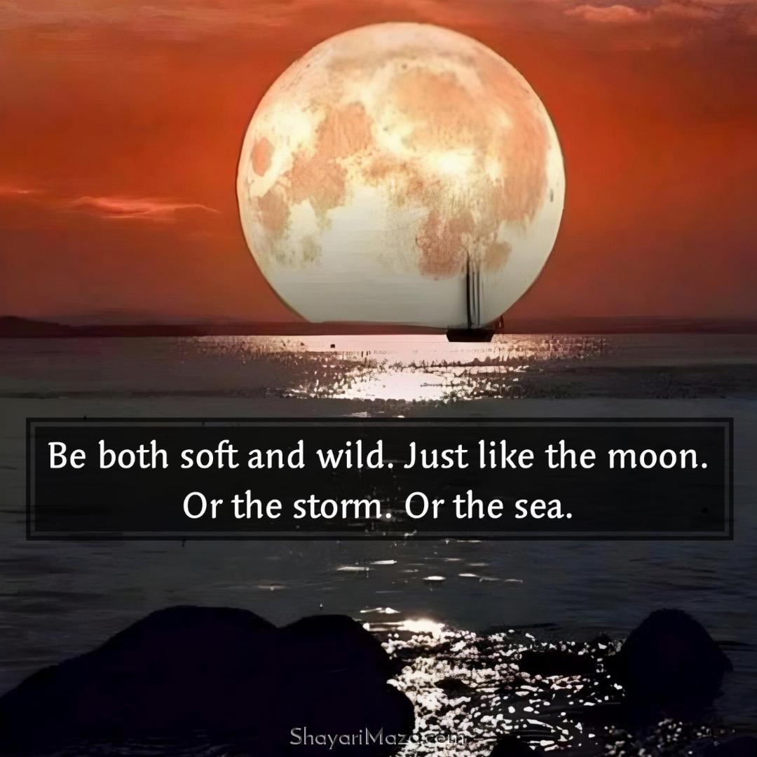 Be both soft and wild Just like the moon