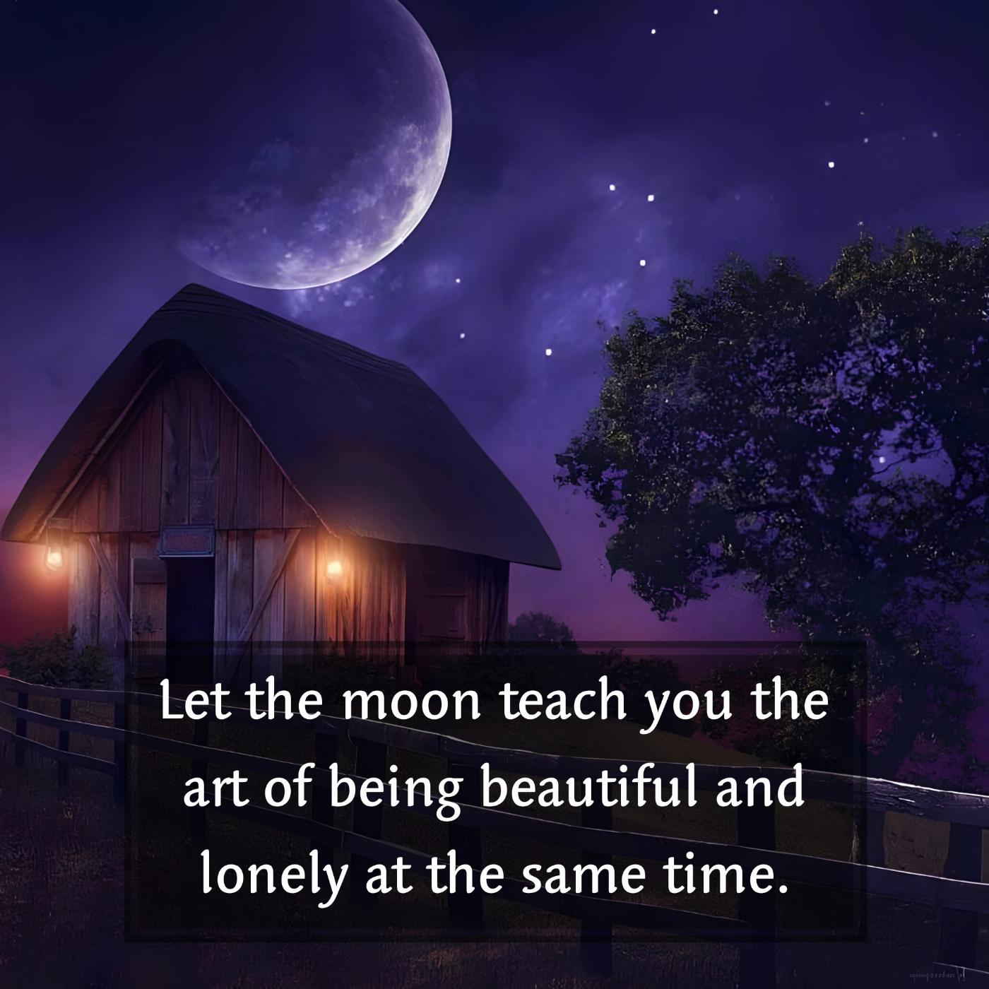 Let the moon teach you the art of being beautiful and lonely