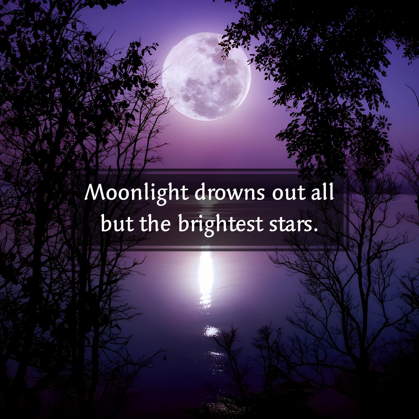 Moonlight drowns out all but the brightest stars