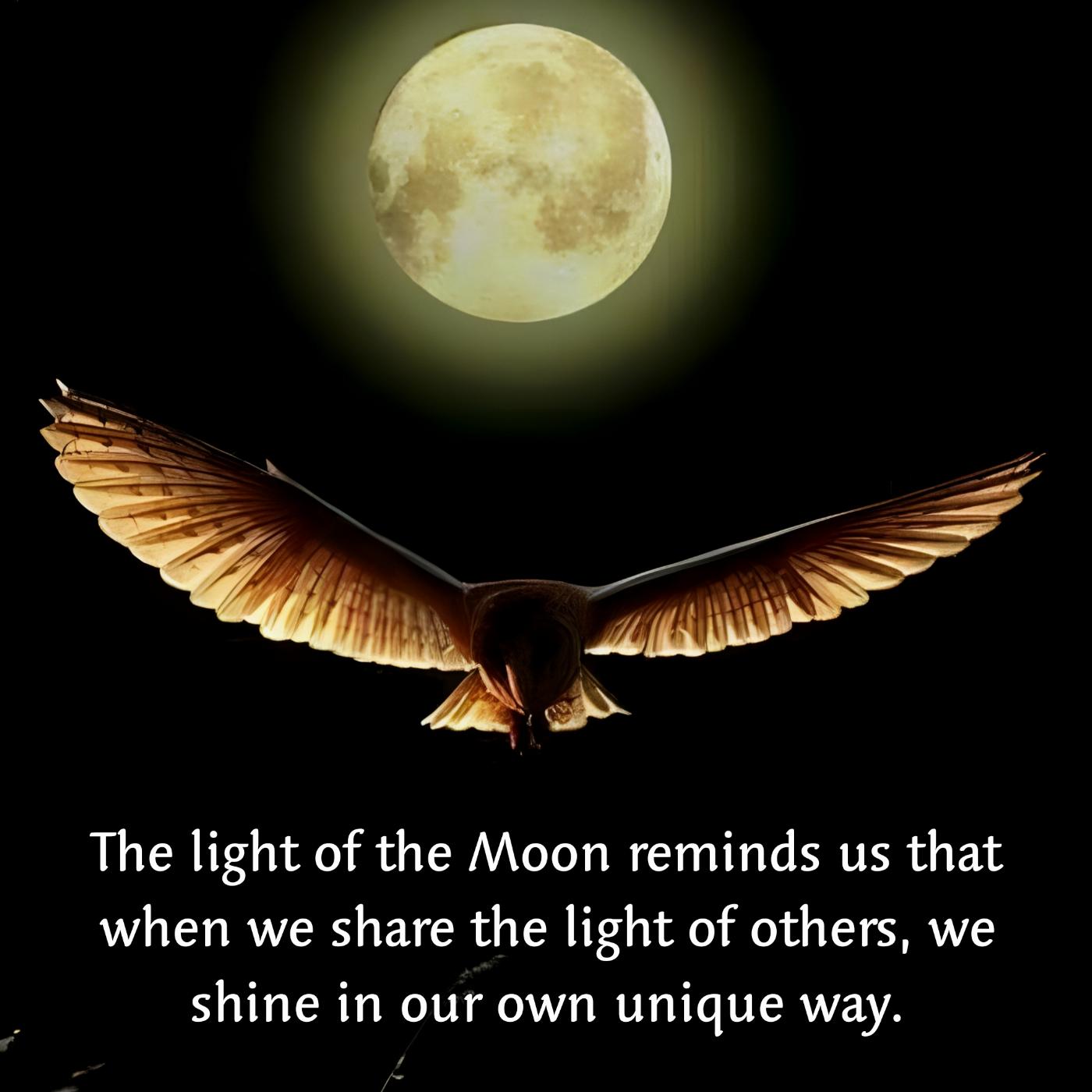 The light of the Moon reminds us that when we share the light