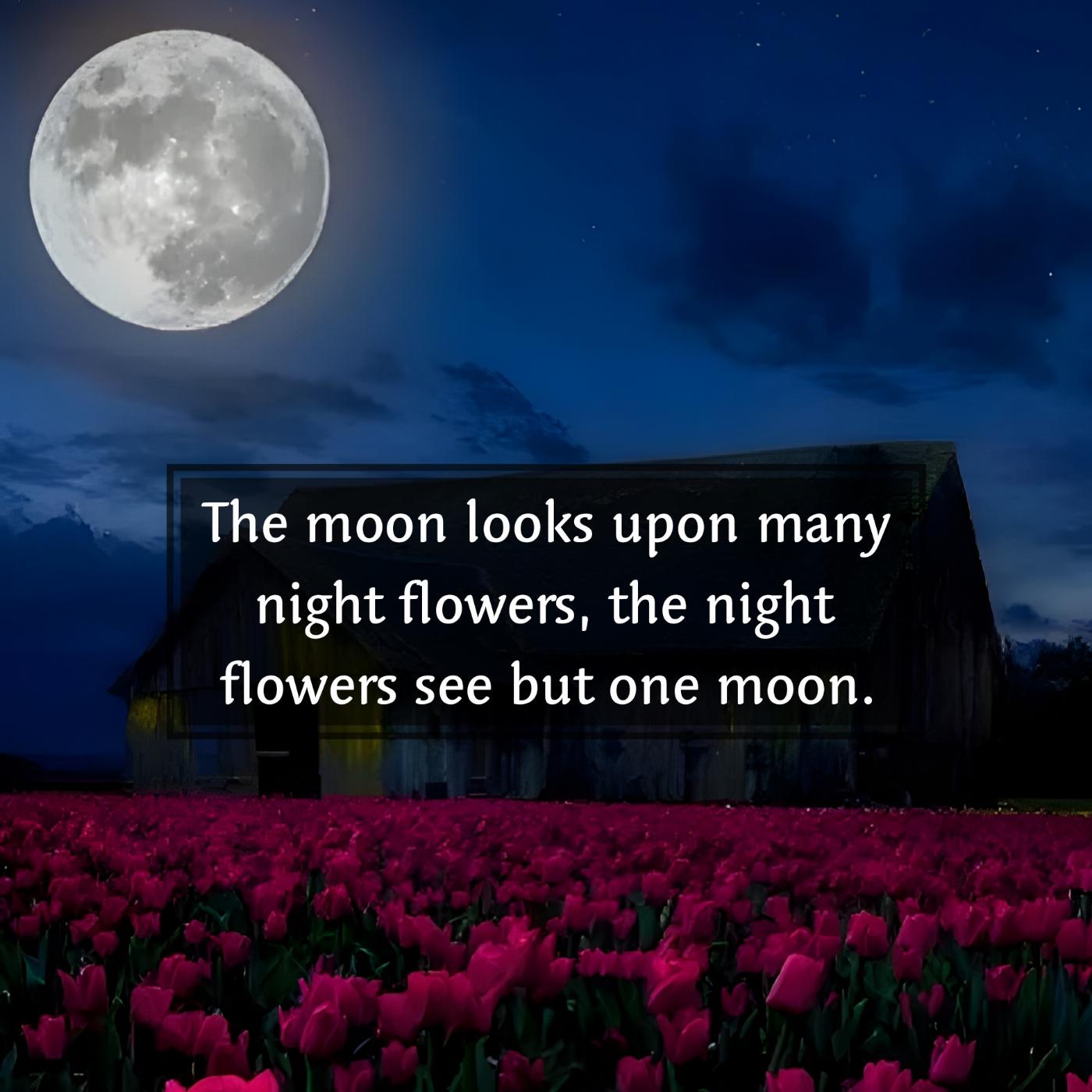 The moon looks upon many night flowers