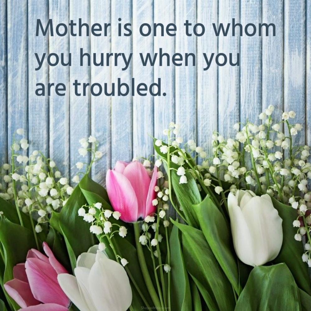 Mother is one to whom you hurry when you are troubled