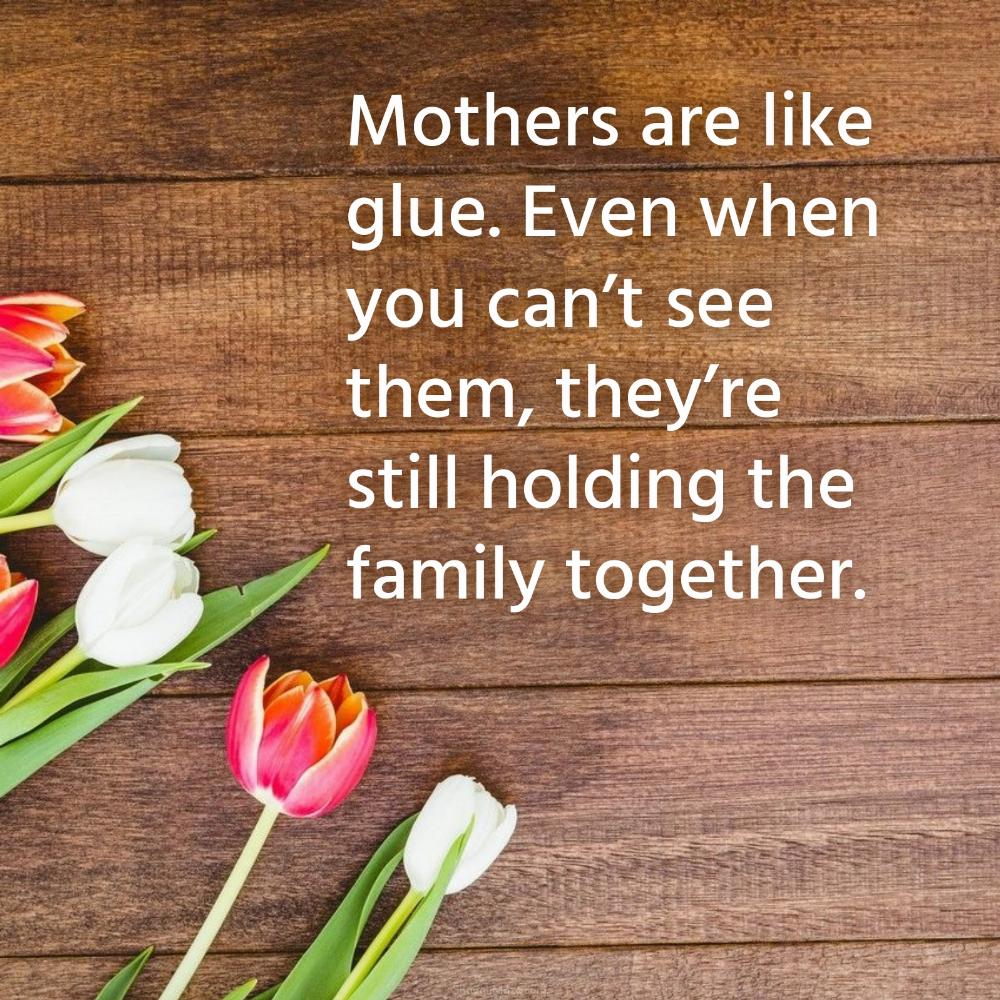 Mothers are like glue Even when you cant see them theyre still holding the family together