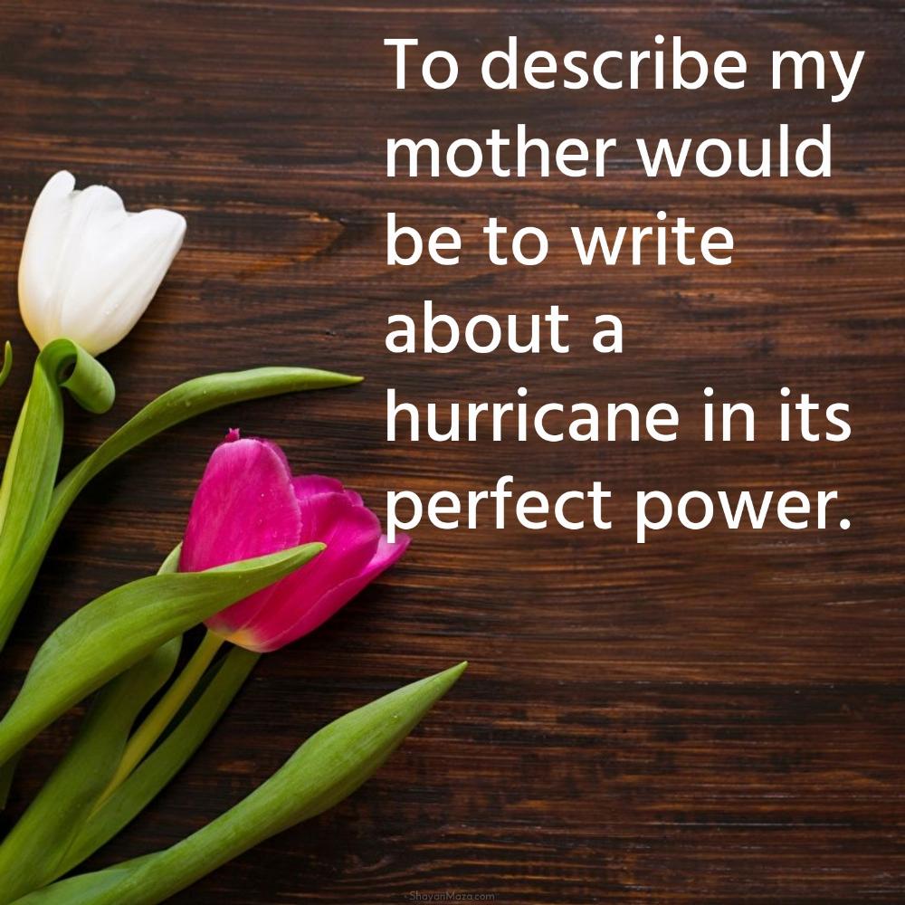 To describe my mother would be to write about a hurricane in its perfect power