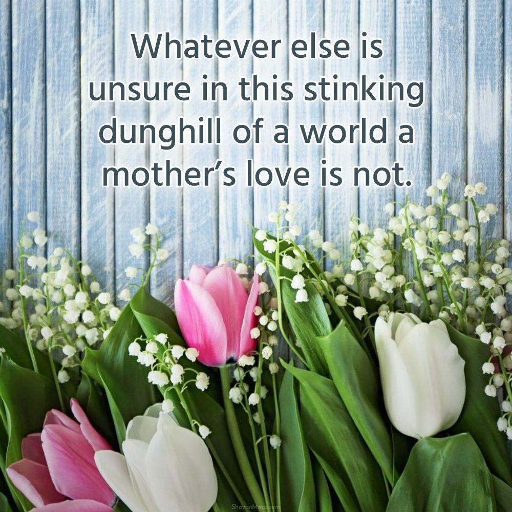 Whatever else is unsure in this stinking dunghill of a world a mothers love is not