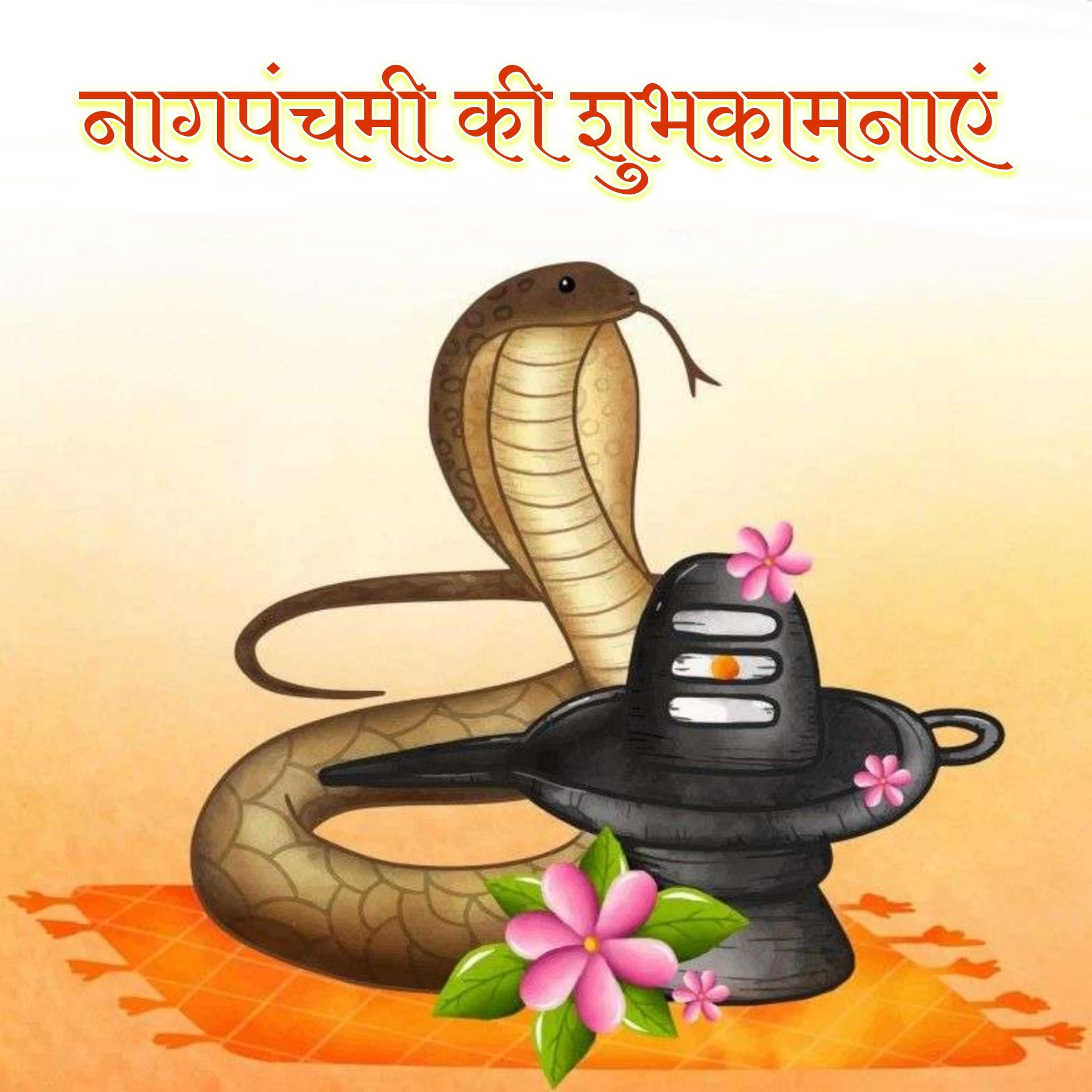 Happy Nag Panchami Shubhkamnaye Photos in Hindi