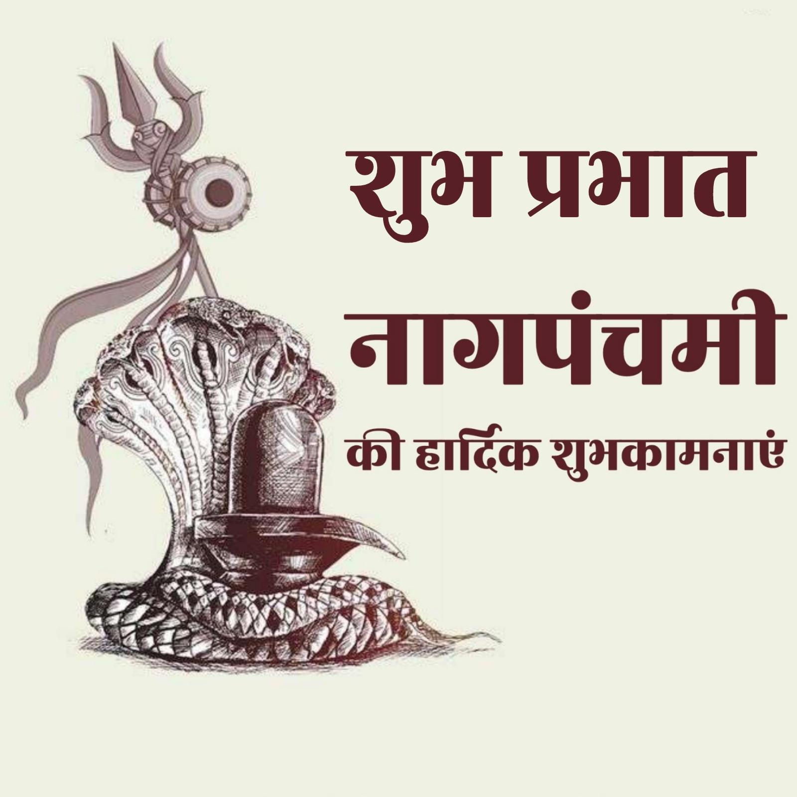 Shubh Prabhat Nag Panchami Ki Hardik Shubhkamnaye Images