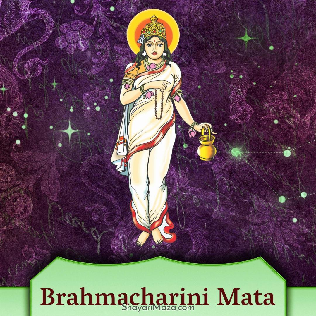 Brahmacharini Mata Images