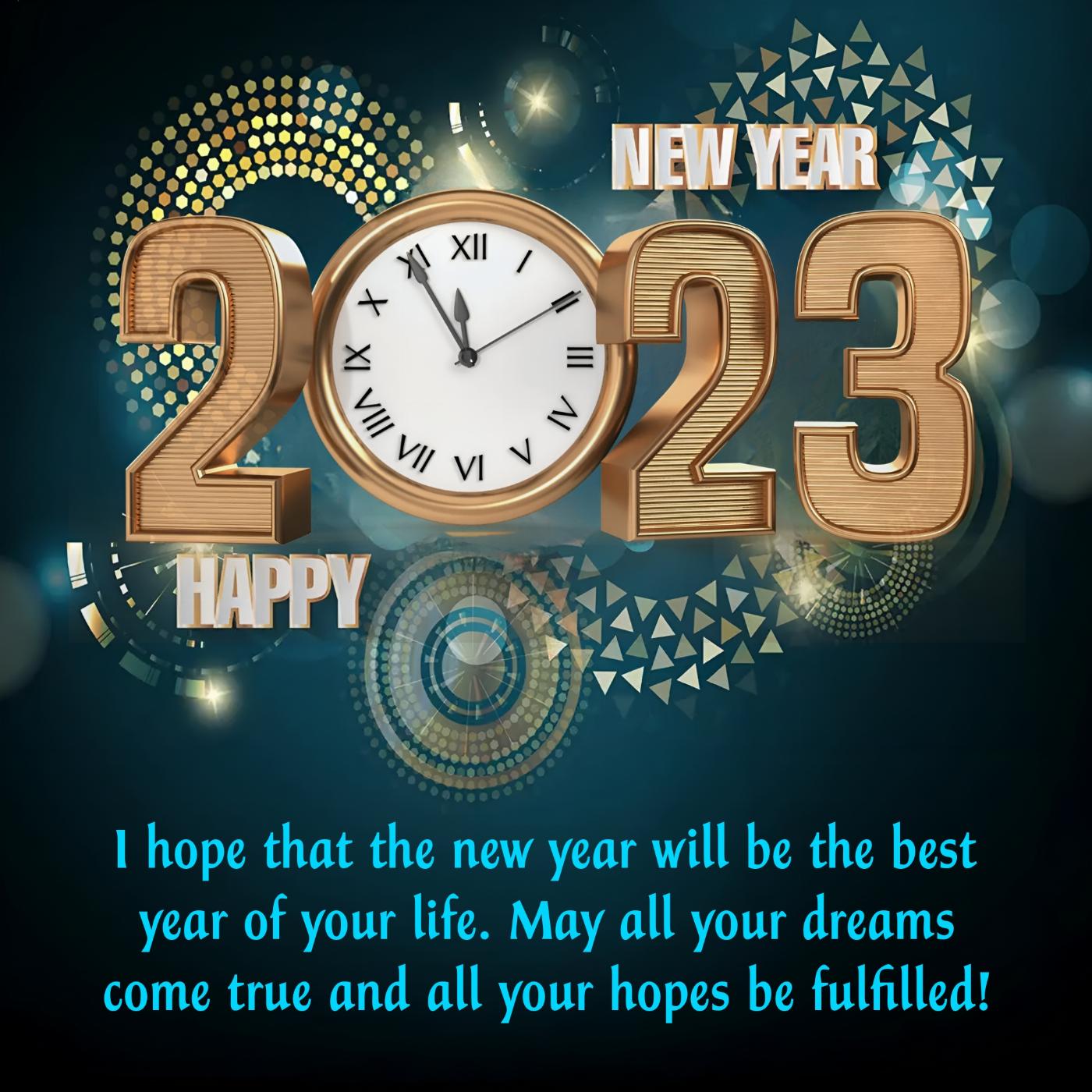 I hope that the new year will be the best year of your life