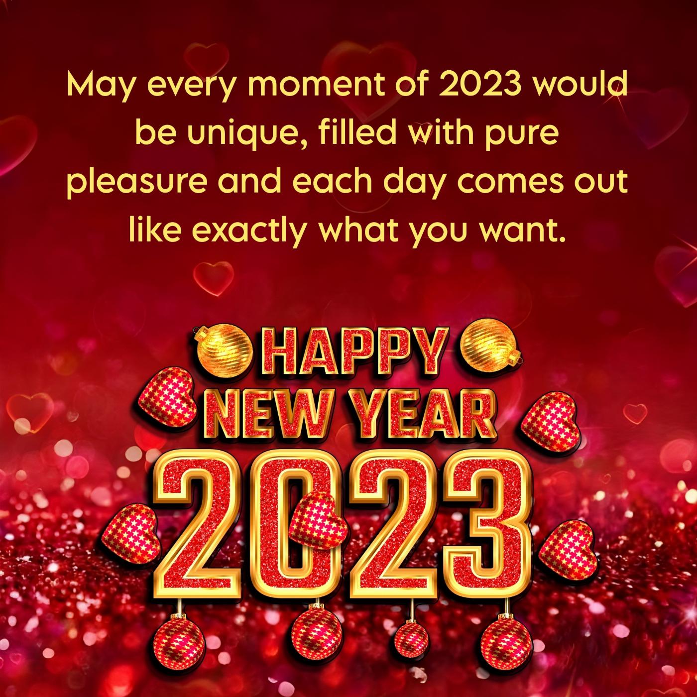 May every moment of 2023 would be unique filled with pure pleasure