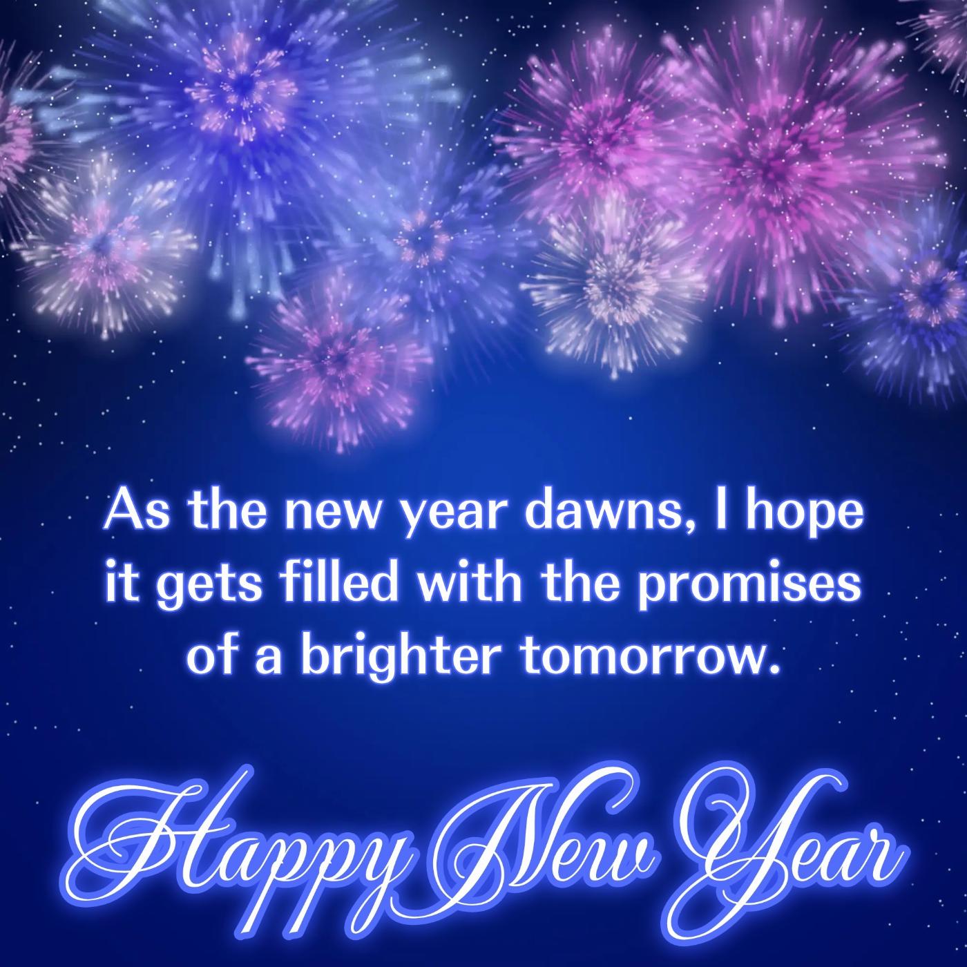 As the new year dawns I hope it gets filled with the promises