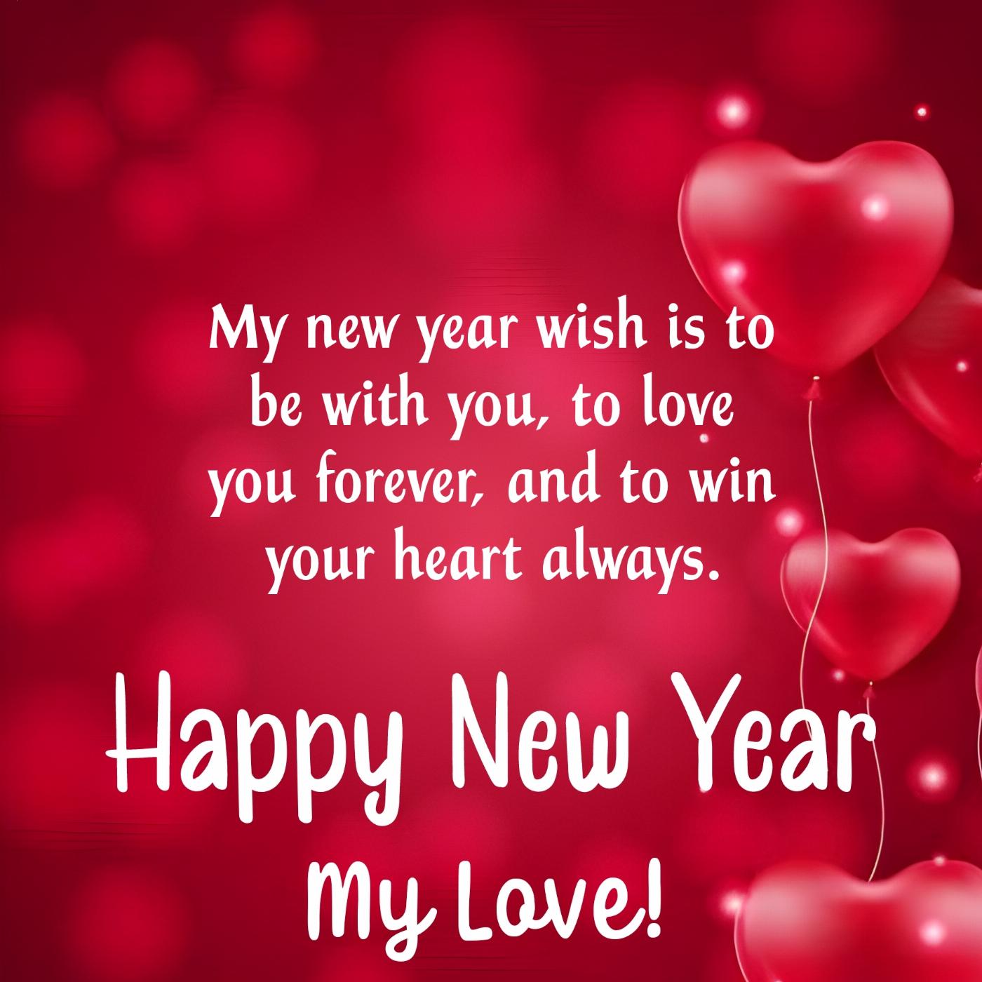 My new year wish is to be with you to love you forever