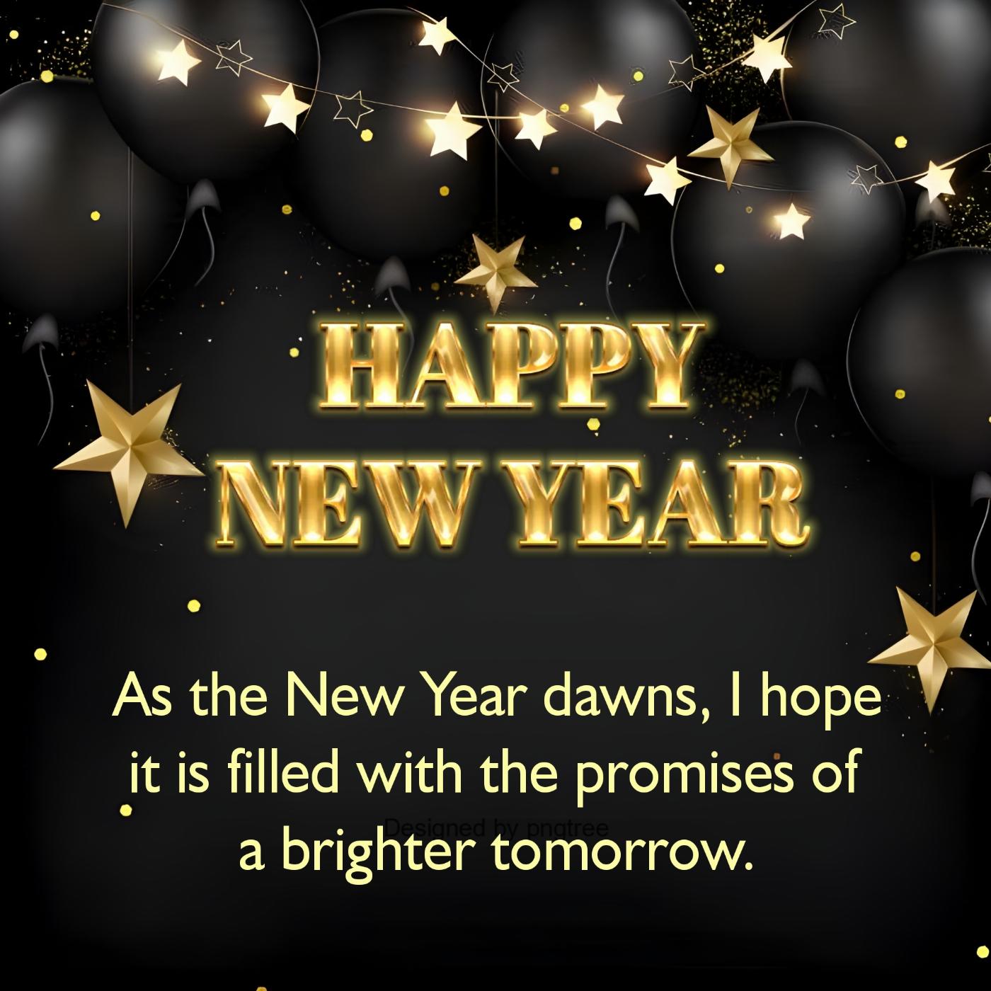 As the New Year dawns I hope it is filled with the promises