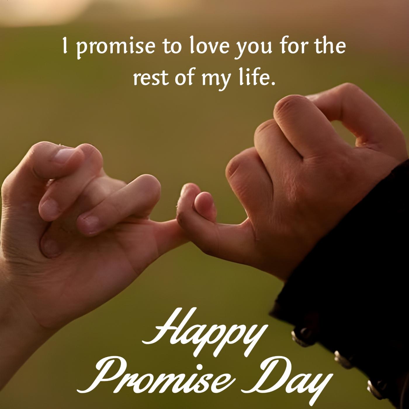 I promise to love you for the rest of my life