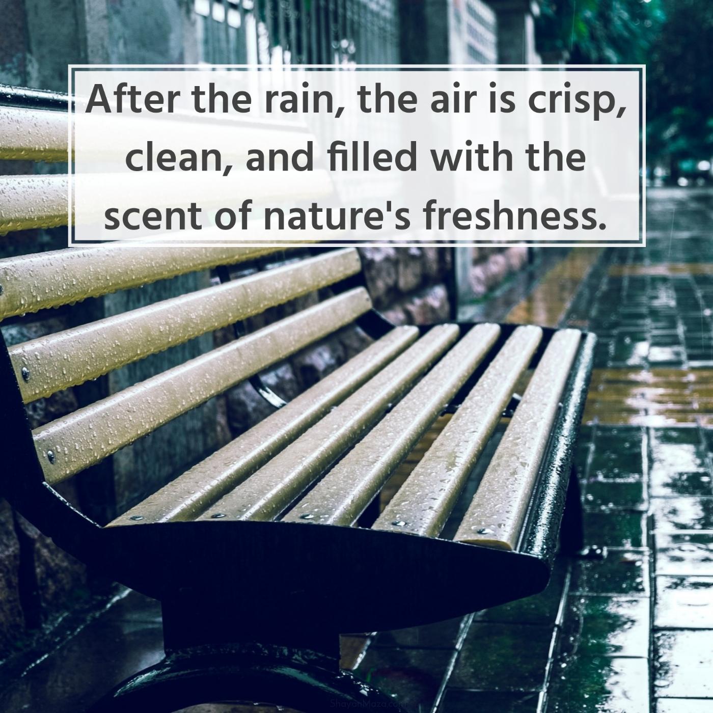 After the rain the air is crisp clean and filled with the scent