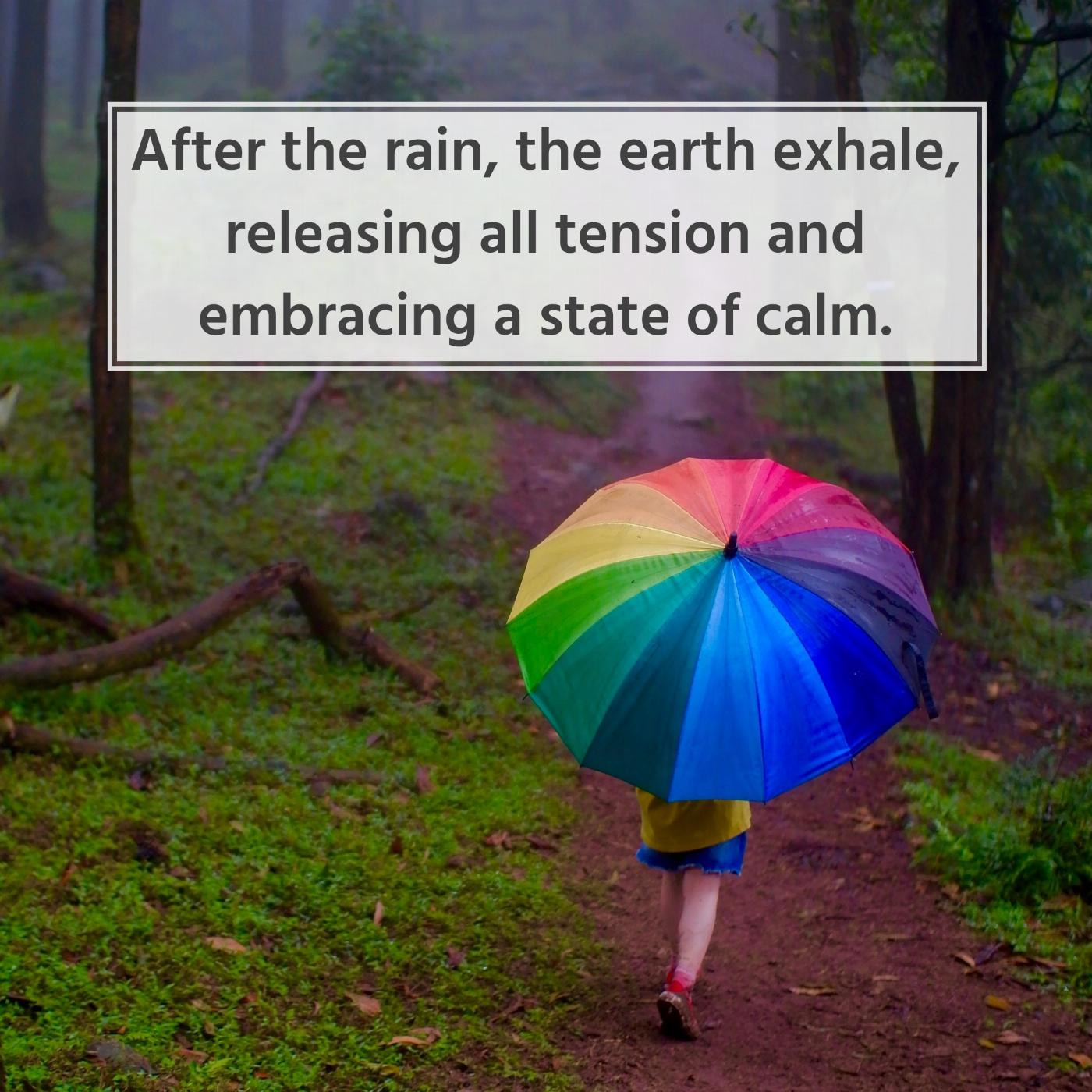 After the rain the earth exhale releasing all tension