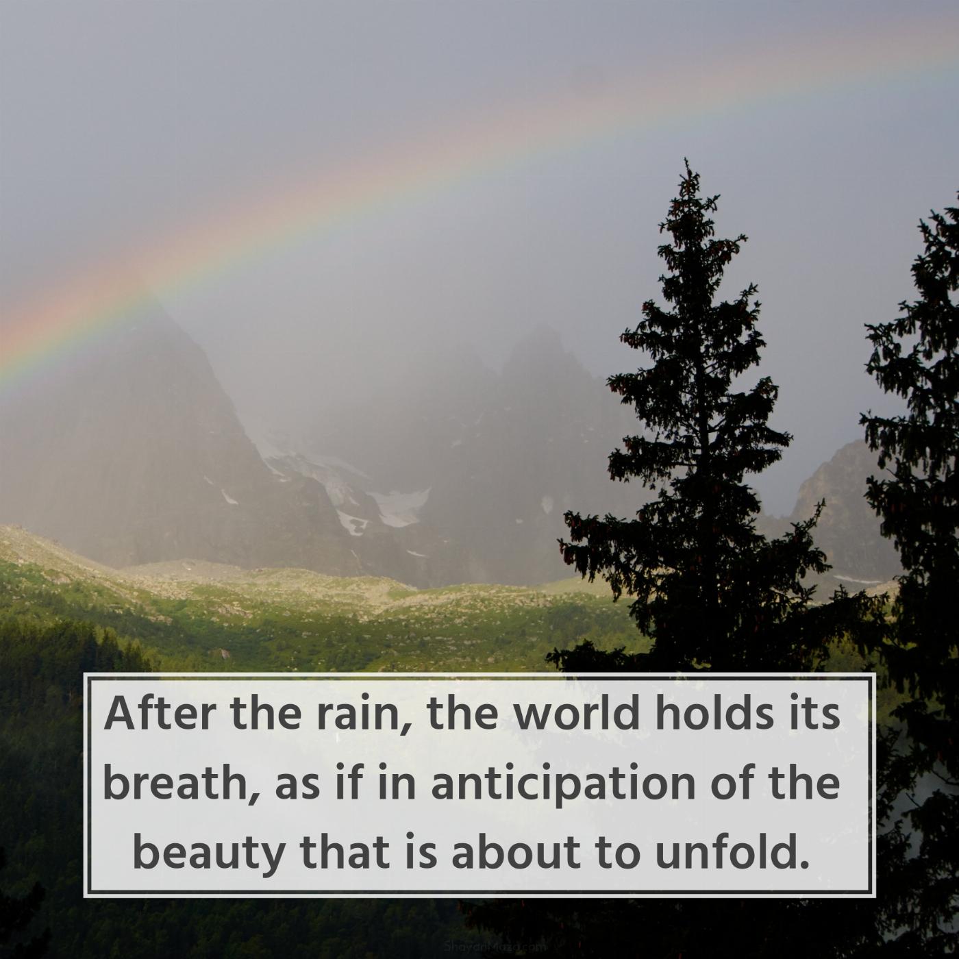 After the rain the world holds its breath as if in anticipation of the beauty