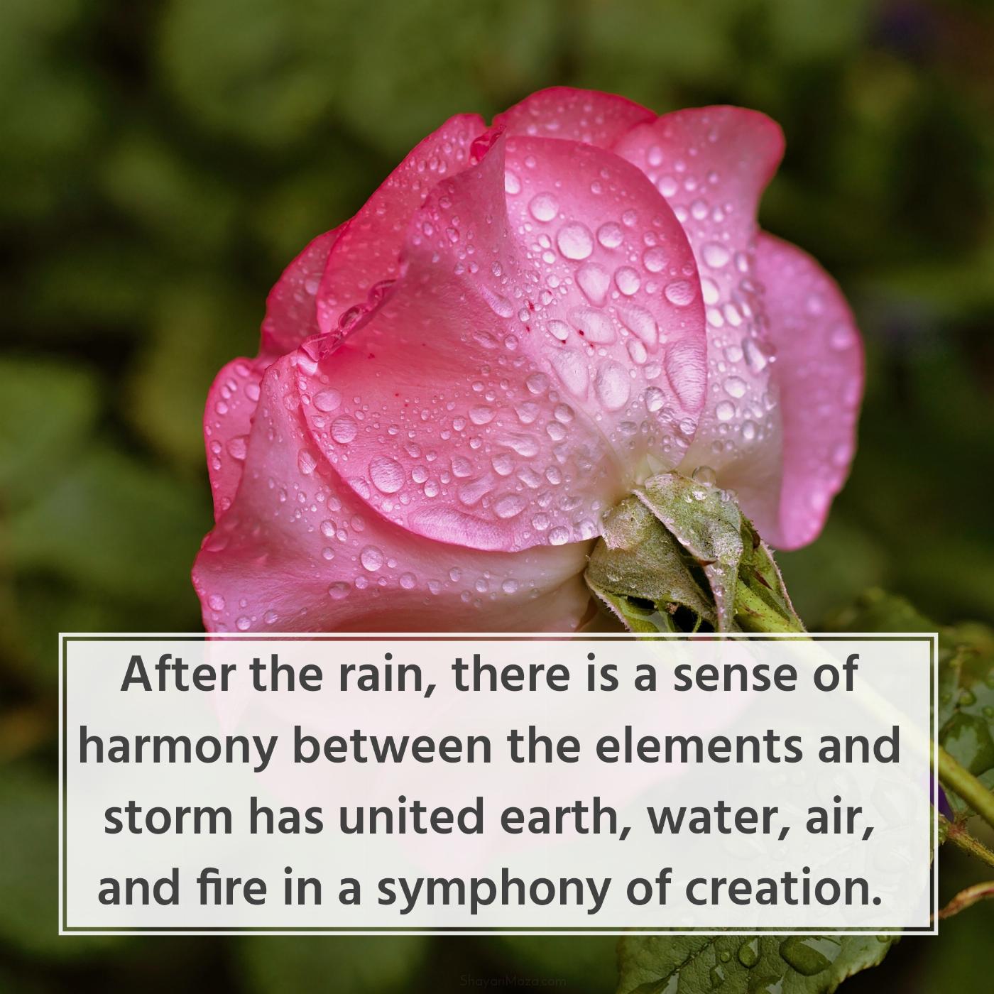 After the rain there is a sense of harmony between the elements