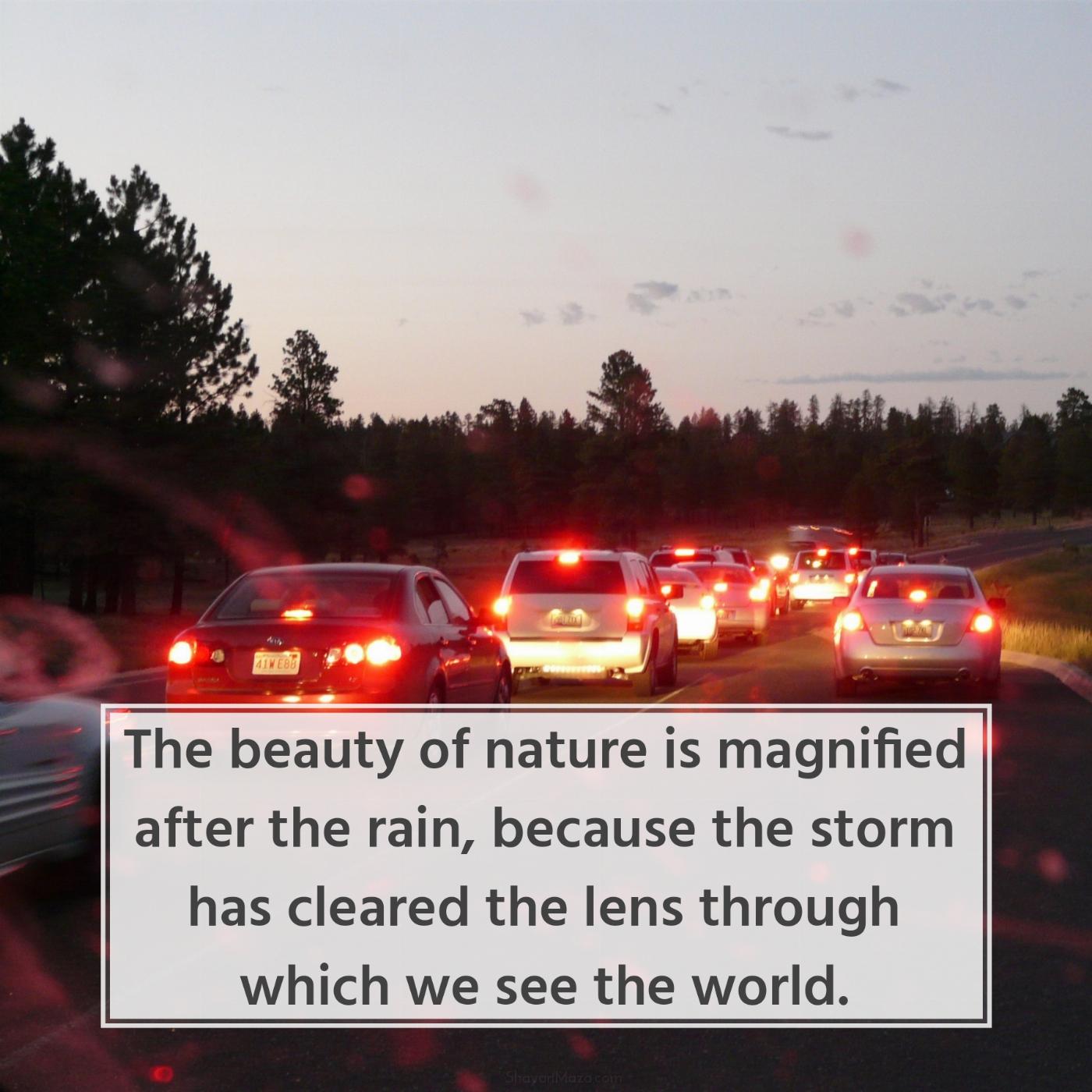 The beauty of nature is magnified after the rain because the storm has cleared the lens