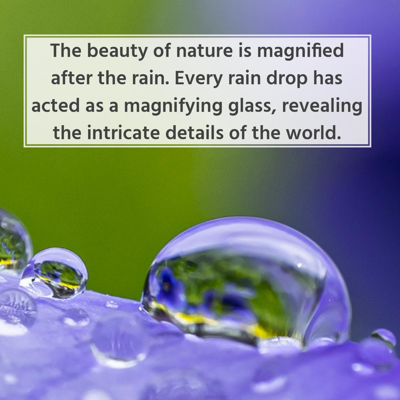 The beauty of nature is magnified after the rain