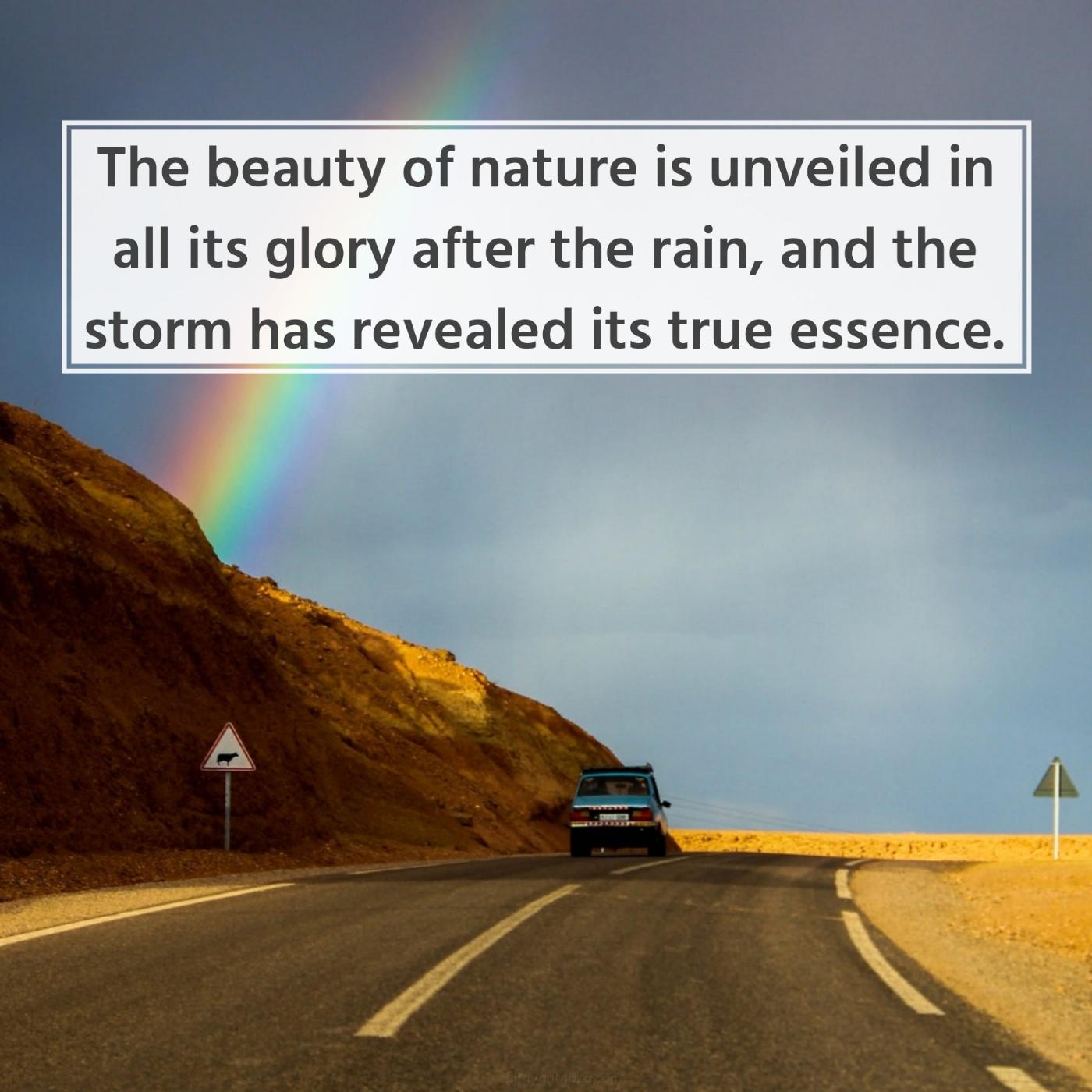 The beauty of nature is unveiled in all its glory after the rain