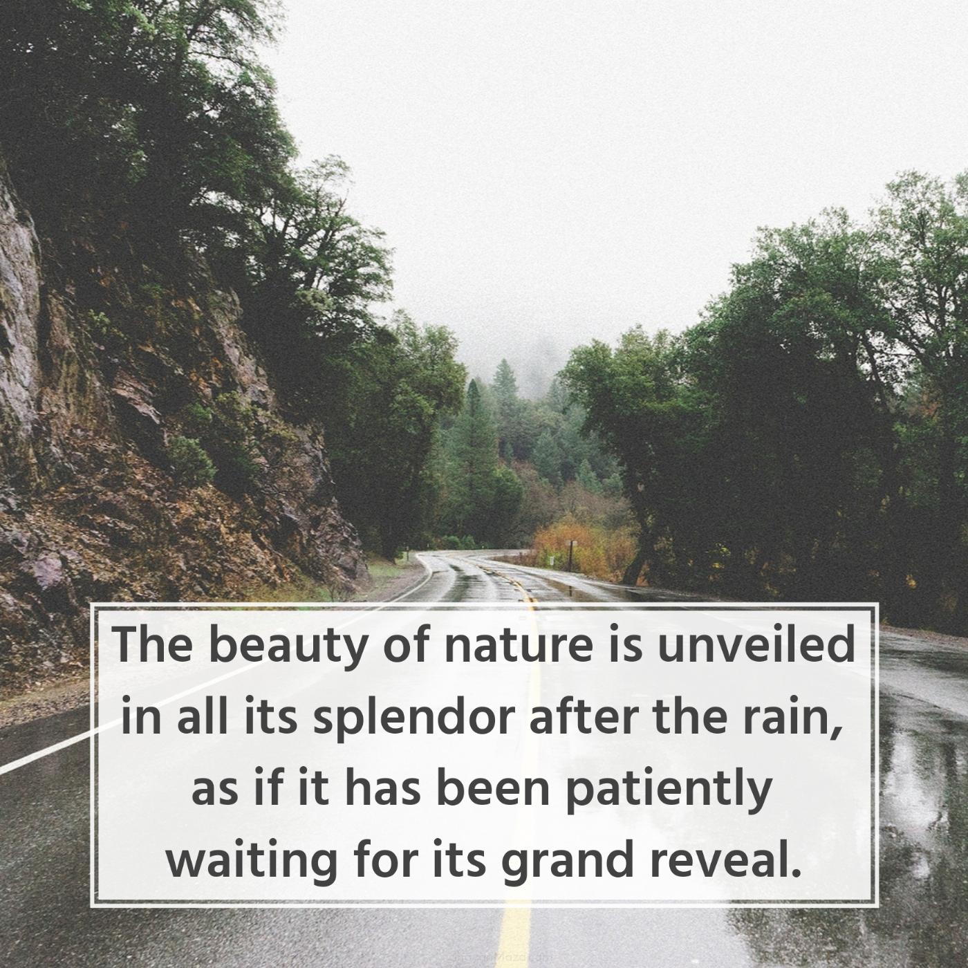 The beauty of nature is unveiled in all its splendor after the rain