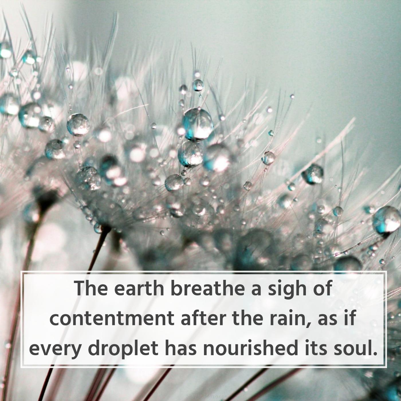 The earth breathe a sigh of contentment after the rain