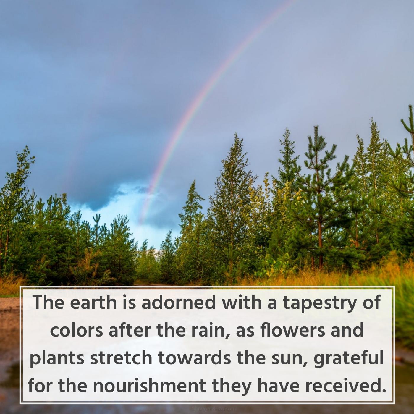The earth is adorned with a tapestry of colors after the rain