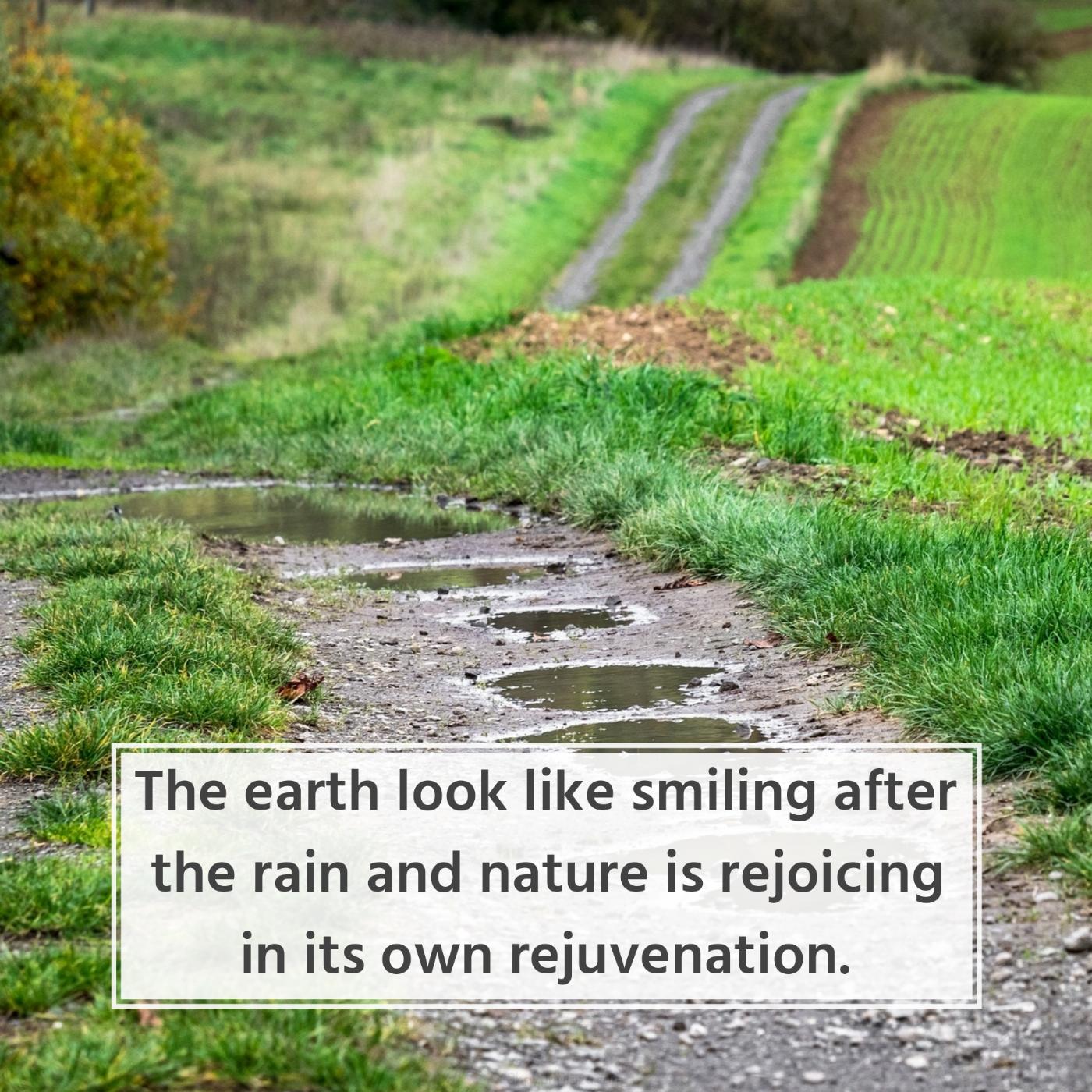 The earth look like smiling after the rain and nature is rejoicing